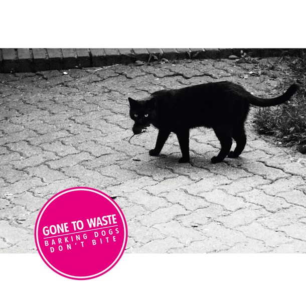 GTW_BDDB_Cover_Vorschläge.indd